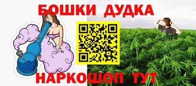 сатива Пенза