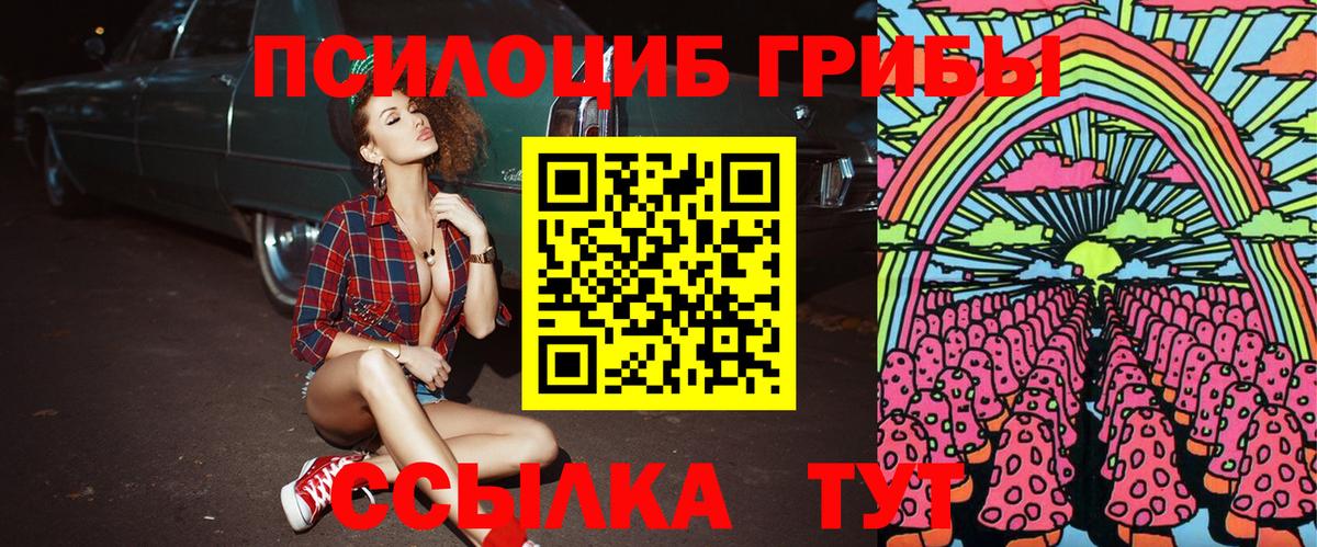 Галлюциногенные грибы Cubensis  Вход с VPN  Тимашёвск 