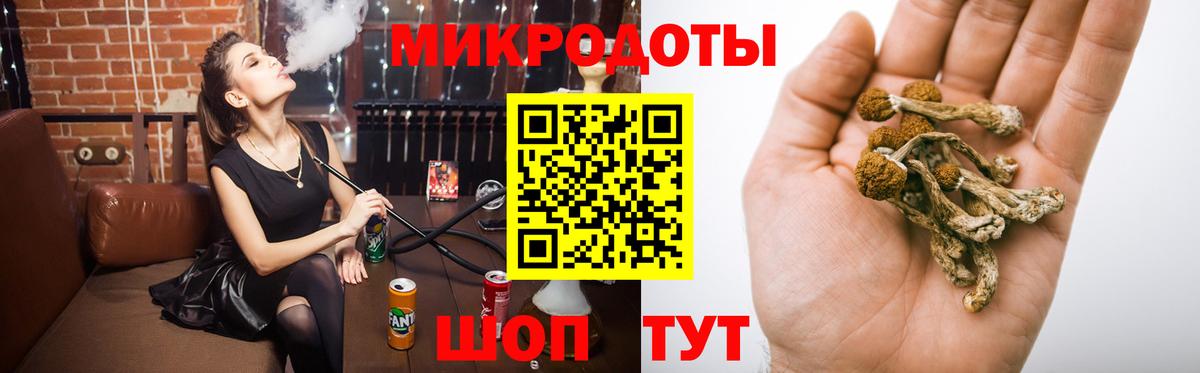 Псилоцибиновые грибы MAGIC MUSHROOMS Тимашёвск
