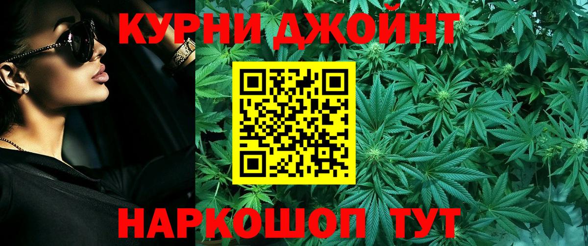 Бошки Шишки план Тимашёвск